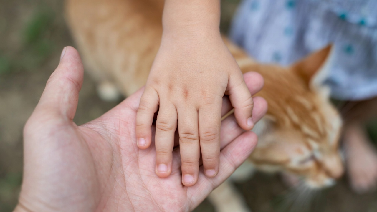Kindern beim Abschied helfen: Ein Eltern-Ratgeber zum Verlust des Haustiers