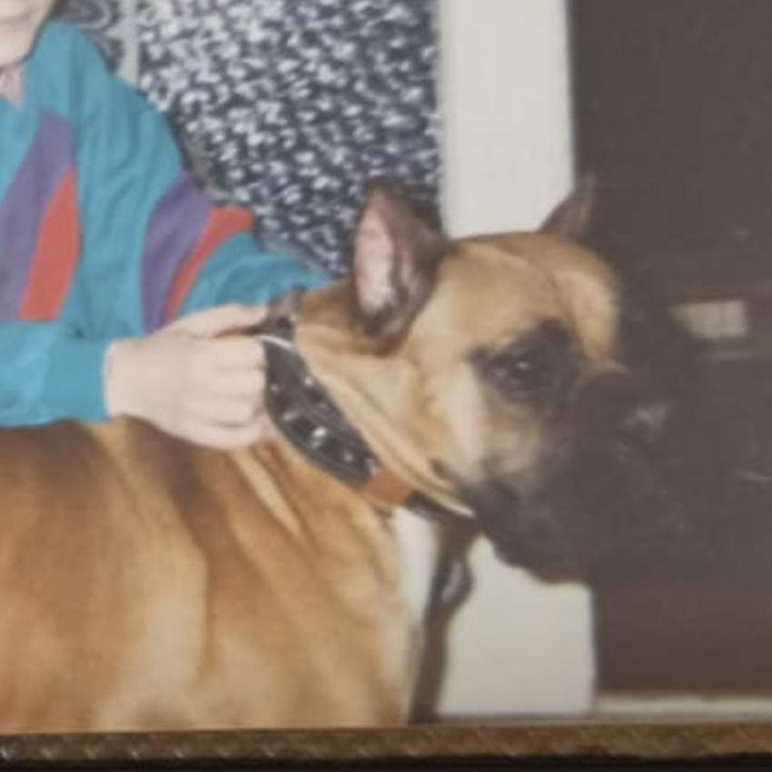Cesar memorial photo