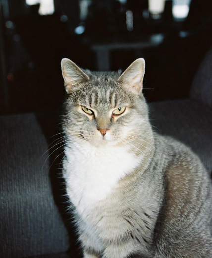 Luna memorial photo