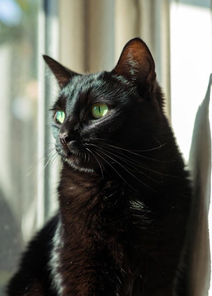Photo of Teo