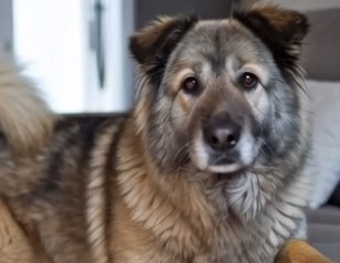 Photo of Max Brauser