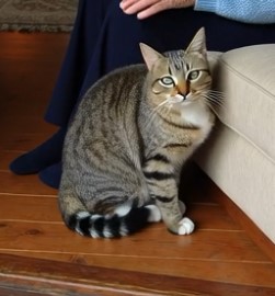 Photo of Milo